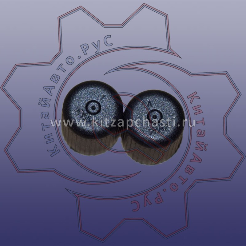 Крышка демпфера переднего EXEED VX FL 202001393AA